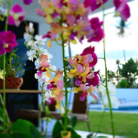 Mango Beach Resort Thailand Ban Huai Yang Exteriör bild