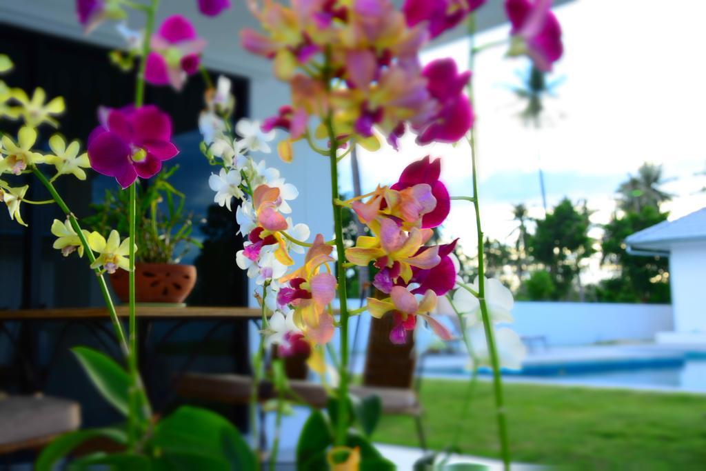 Mango Beach Resort Thailand Ban Huai Yang Exteriör bild